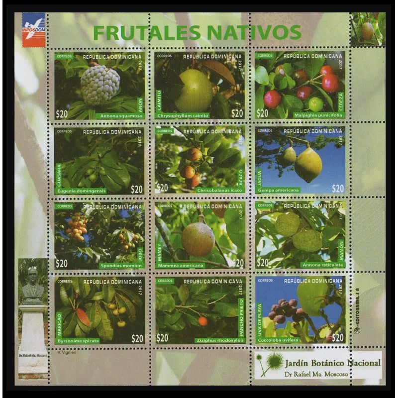 árboles frutales nativos