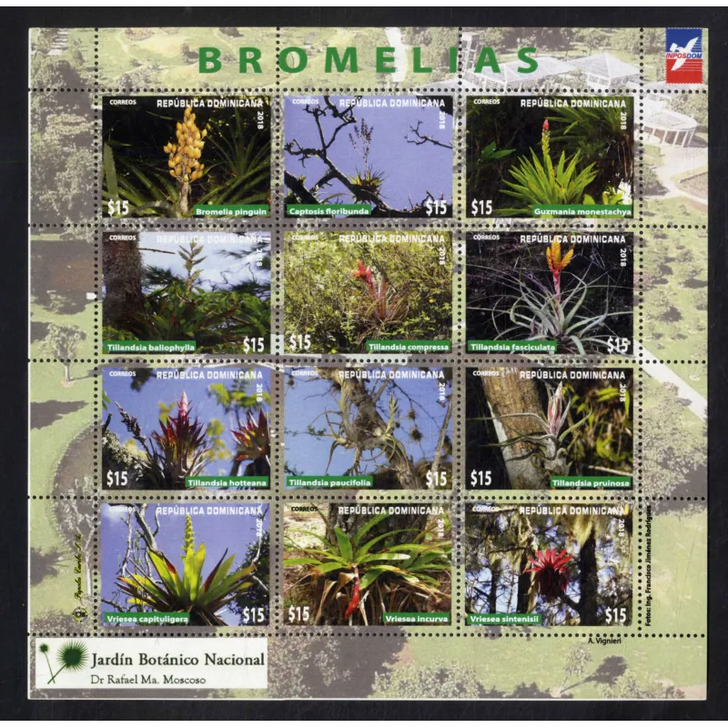 Bromelie of the Dominican flora