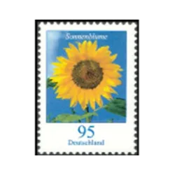 Sunflower (Helianthus annuus)