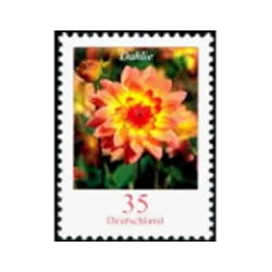 Dalia (Dahlia variabilis)