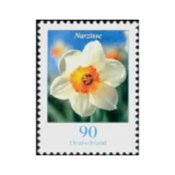 Narciso (Narcissus poeticus)